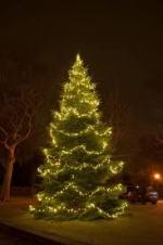 Warden Hill Christmas Tree Lighting Ceremony 2nd December 5pm in St Christopher's Church garden